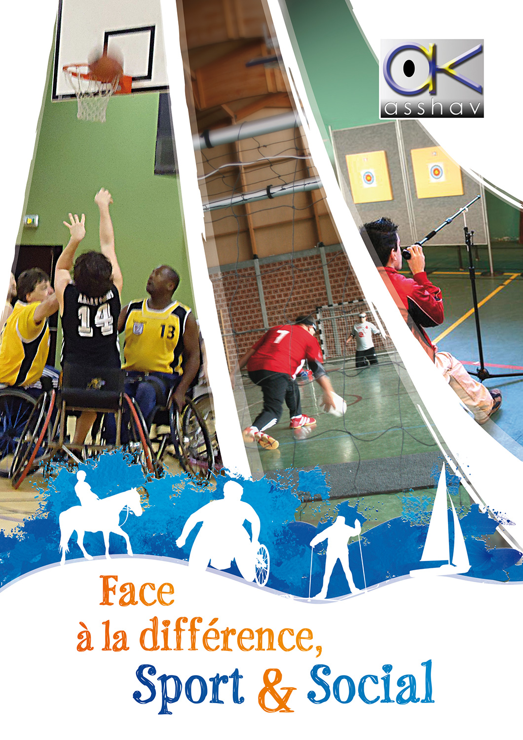 zoom sur la couverture de la revue 2011 de l'Asshav, avec des photos et silhouettes de différents sports handi