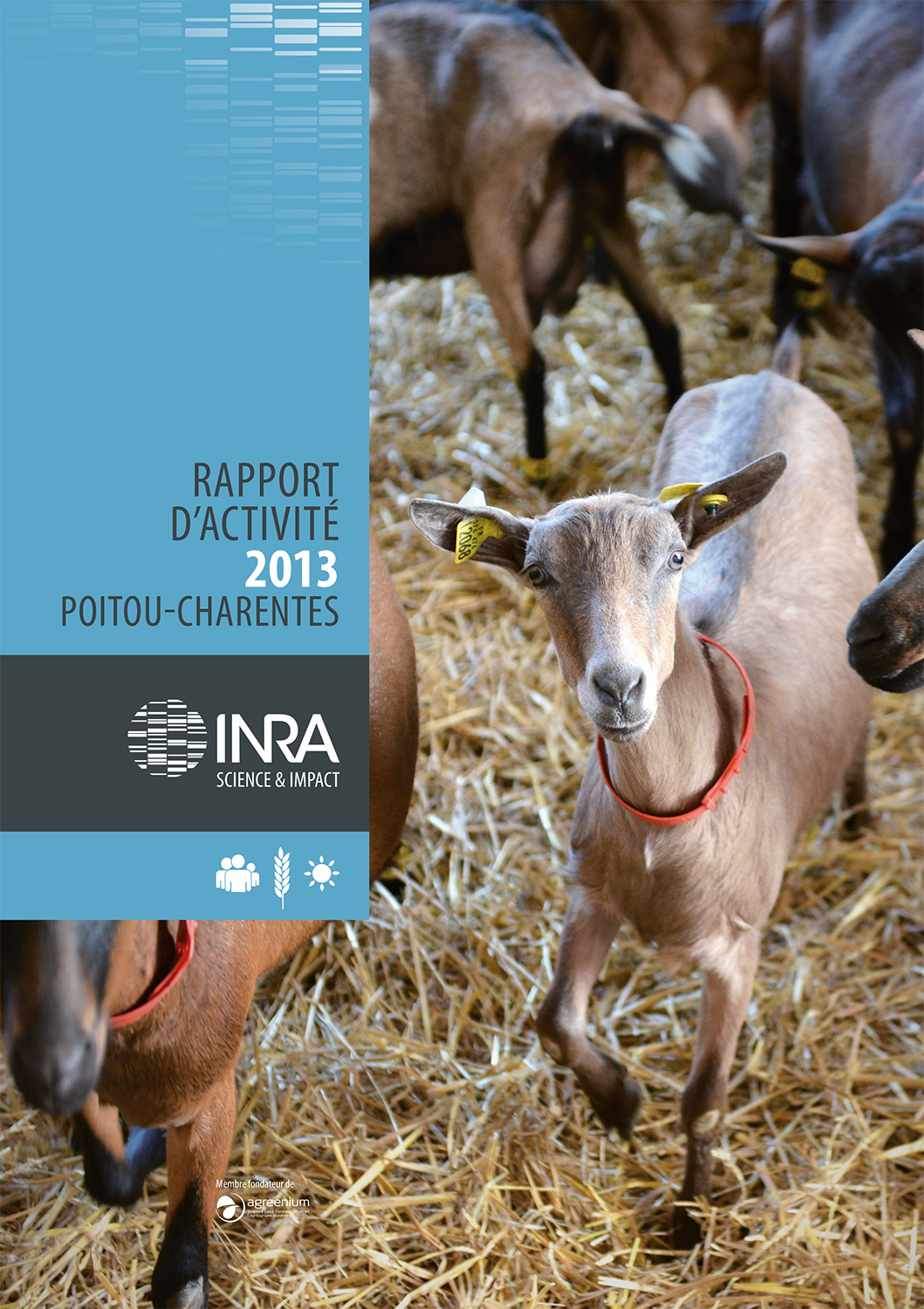 couverture du rapport