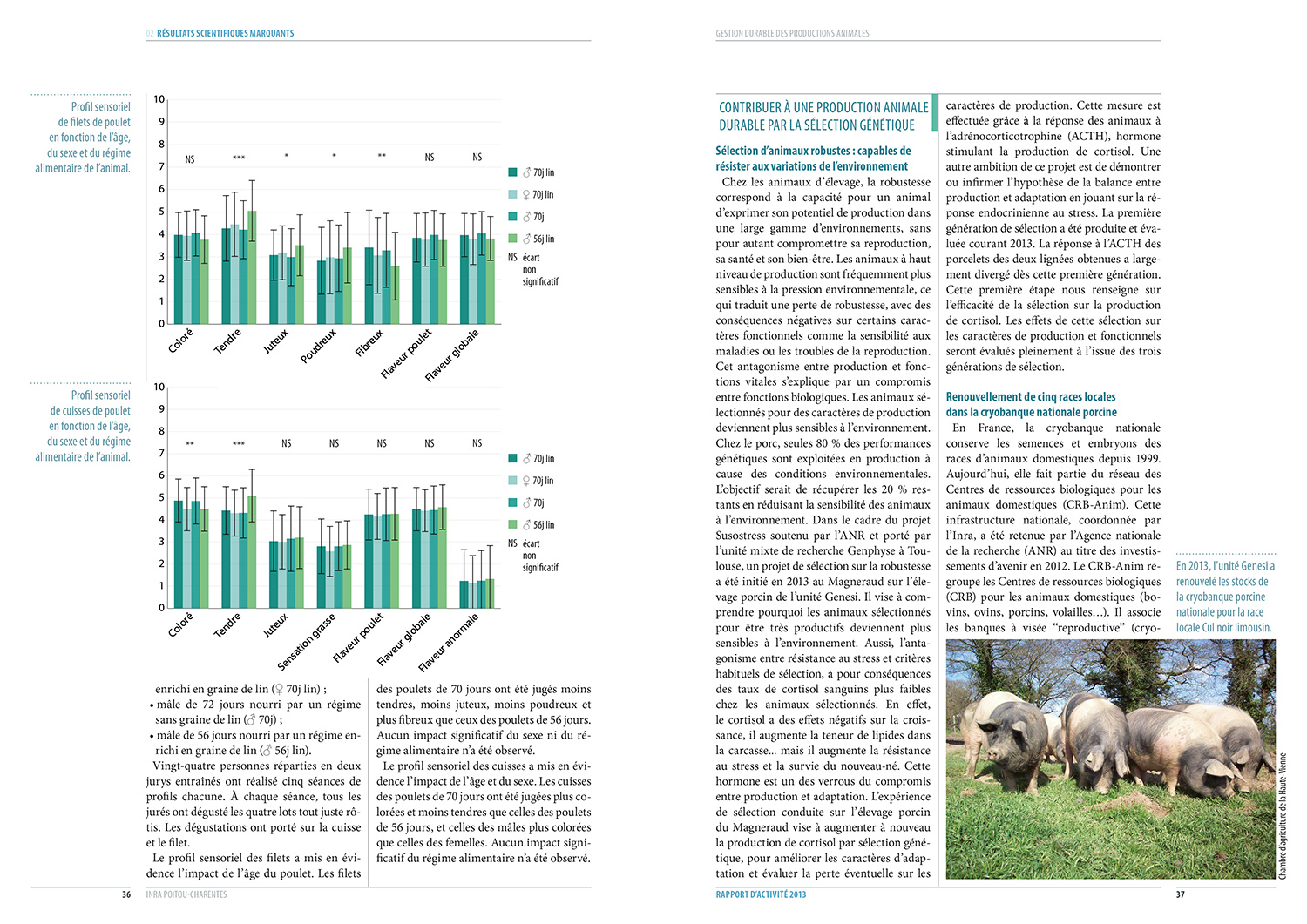 une double-page avec photographie et diagrammes