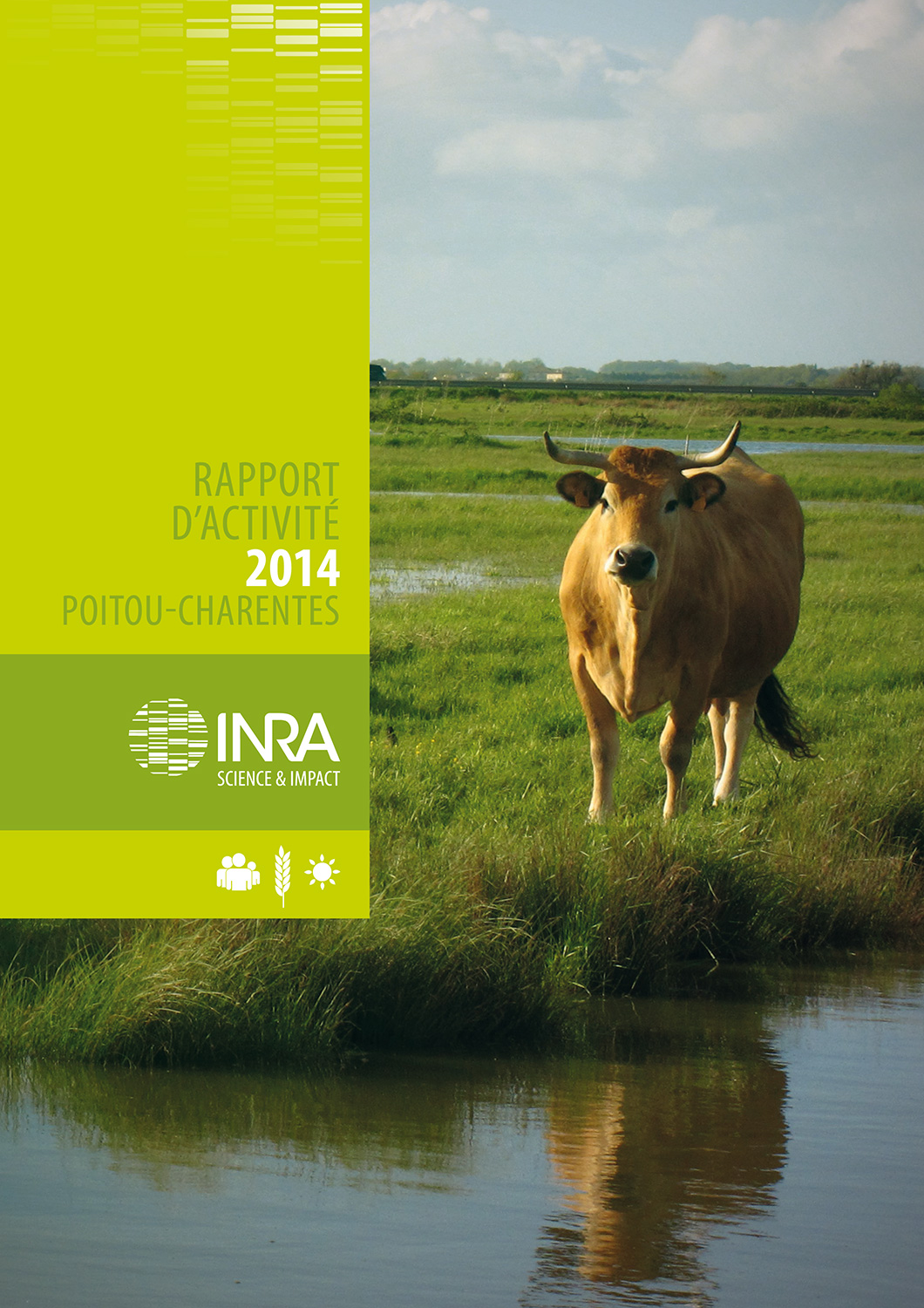 couverture du rapport