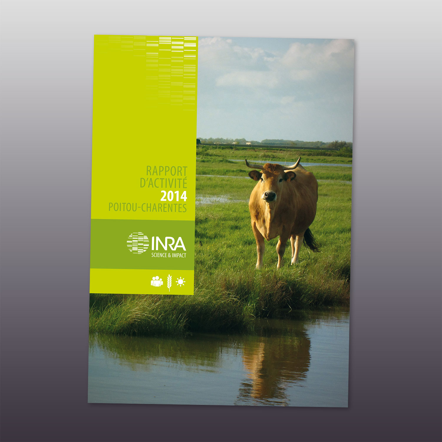 couverture du rapport d'activité 2014 de l'INRA Poitou-Charentes