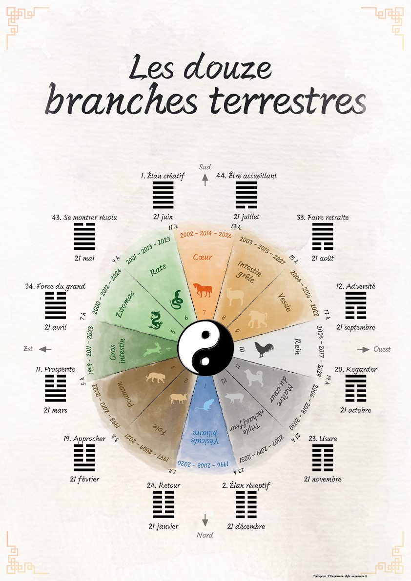 zoom sur un schéma illustrant et expliquant la consultation du Yi Jing