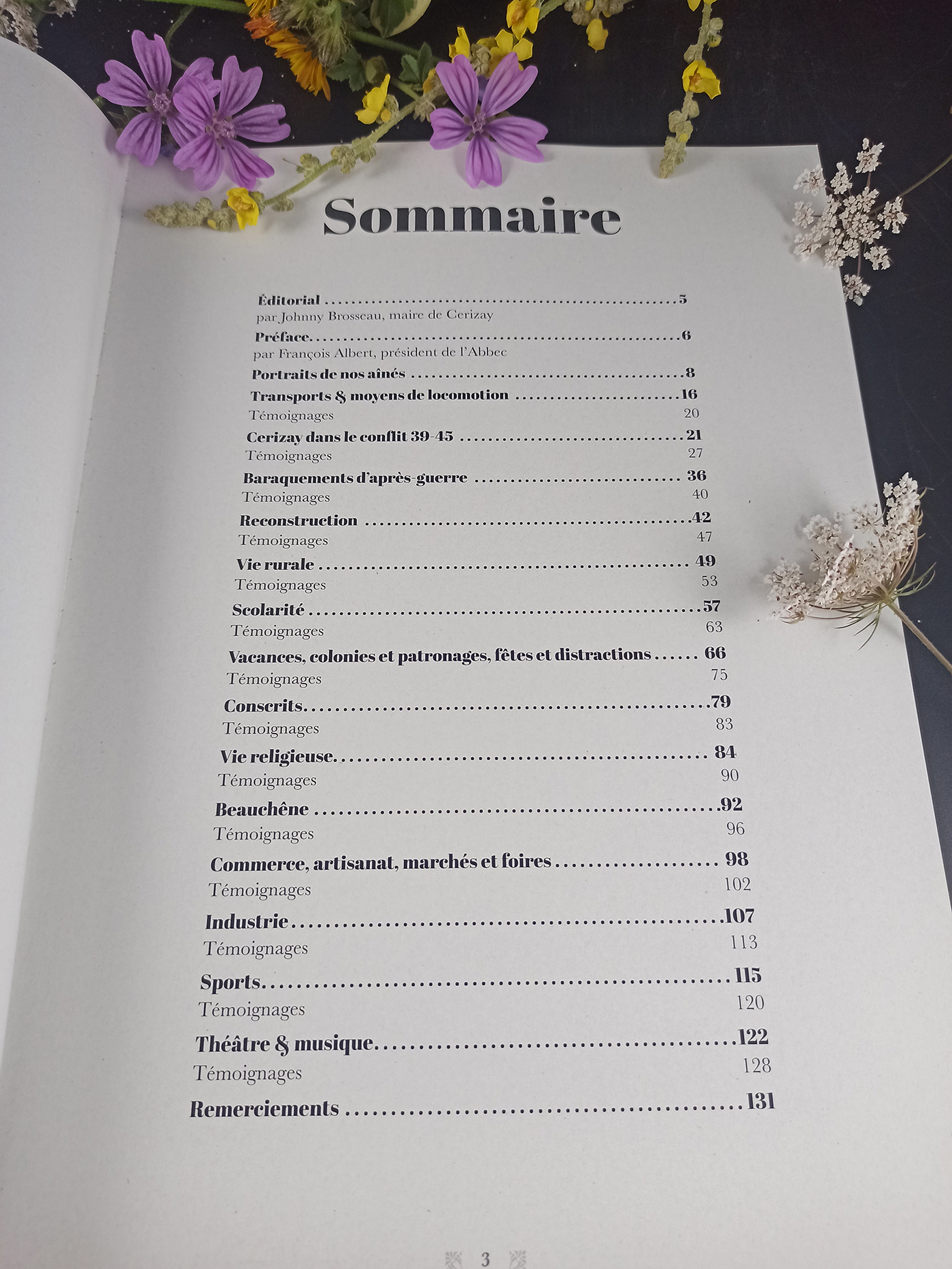 page sommaire de l'ouvrage