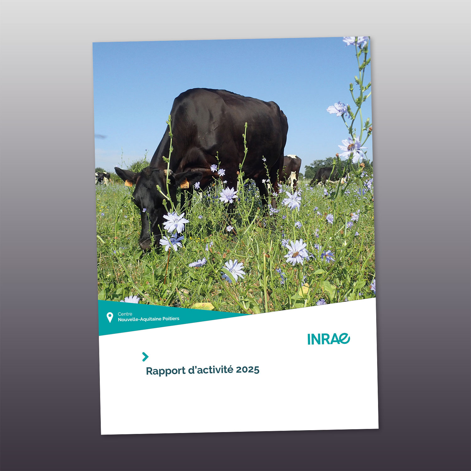 couverture du rapport d'activité 2025 du Centre INRAE Nouvelle-Aquitaine-Poitiers
