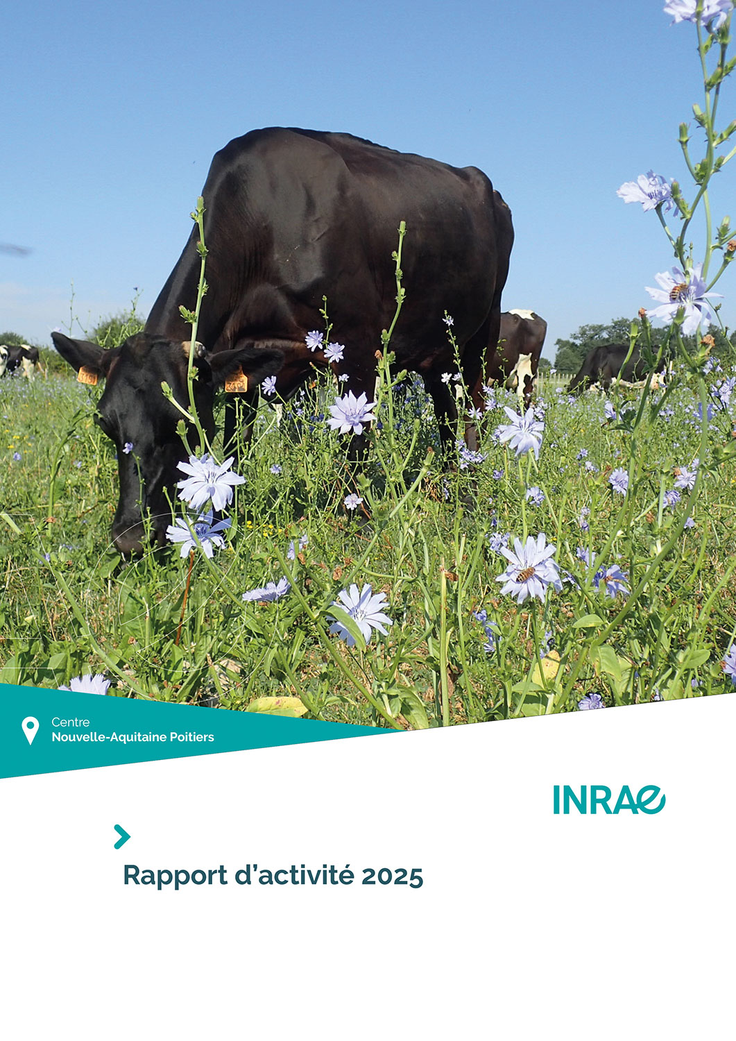 couverture du rapport