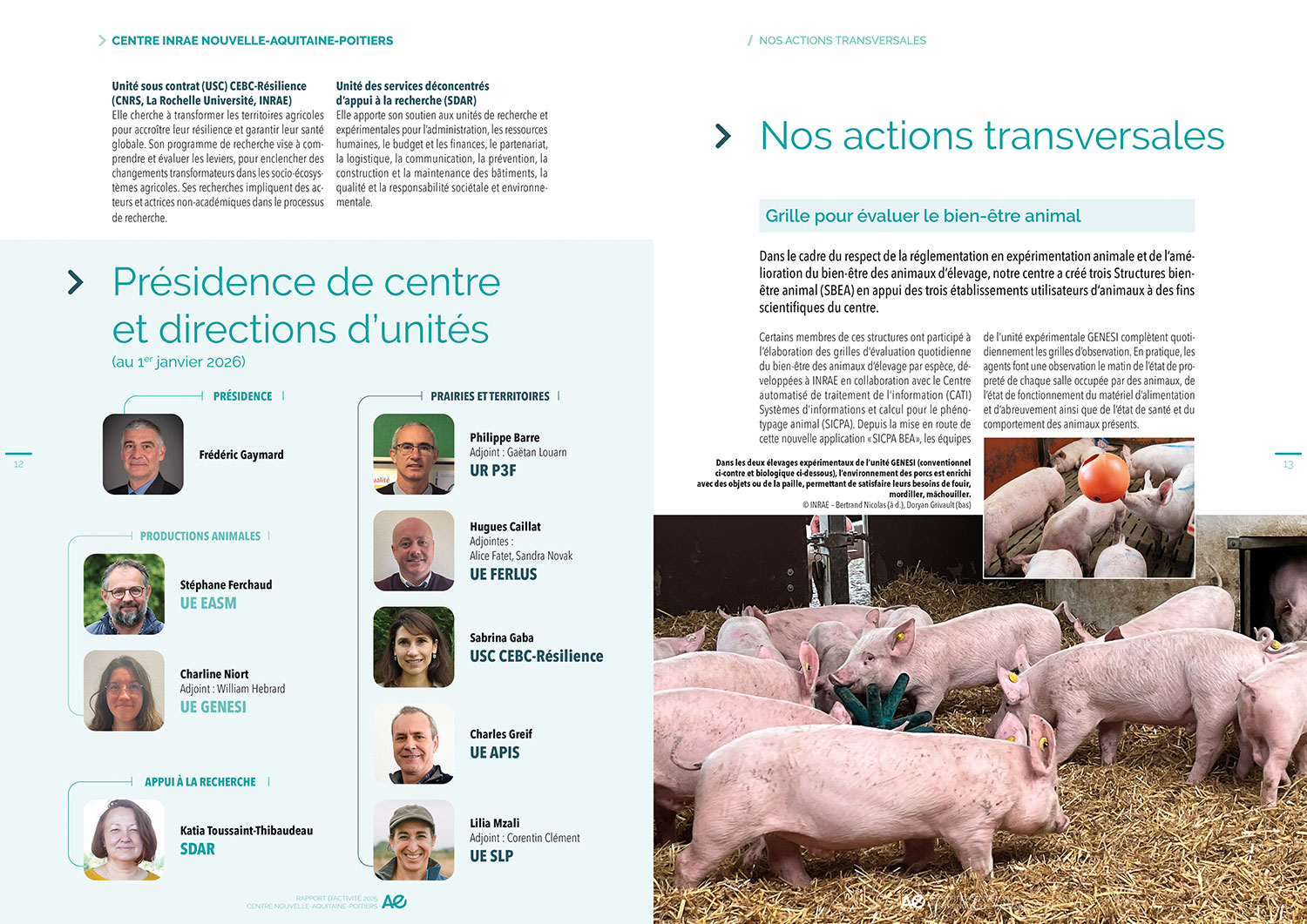 une double-page avec photographies et organigramme